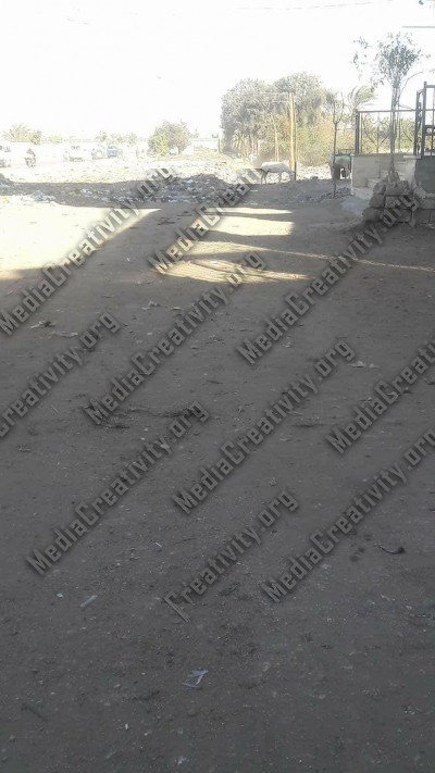 مؤسسة الإبداع الإعلامي وتنمية المجتمع