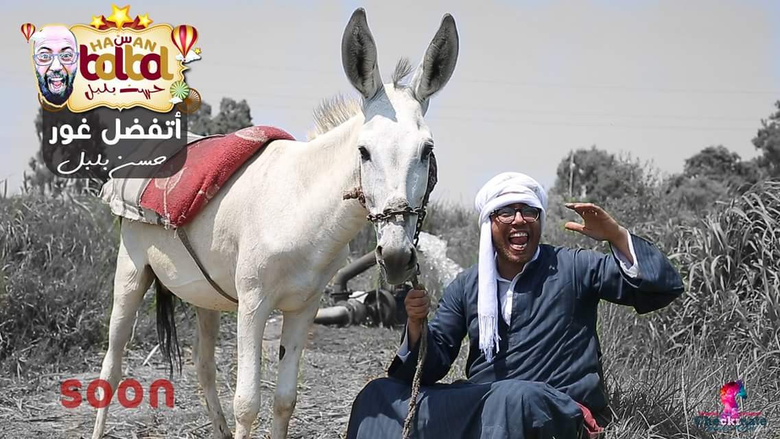 الفنان حسن بلبل