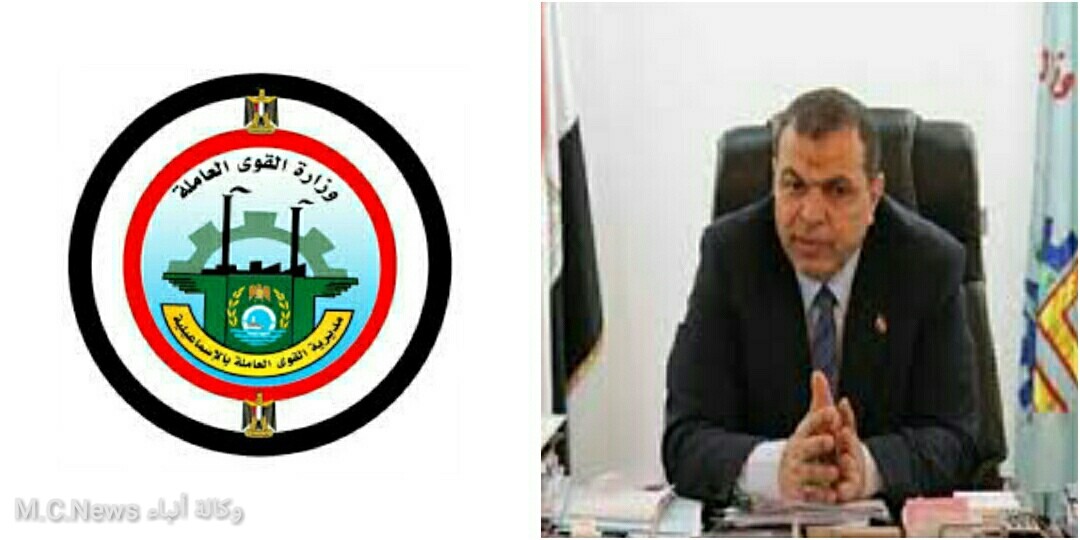 وزير القوى العاملة (أرشيفية)