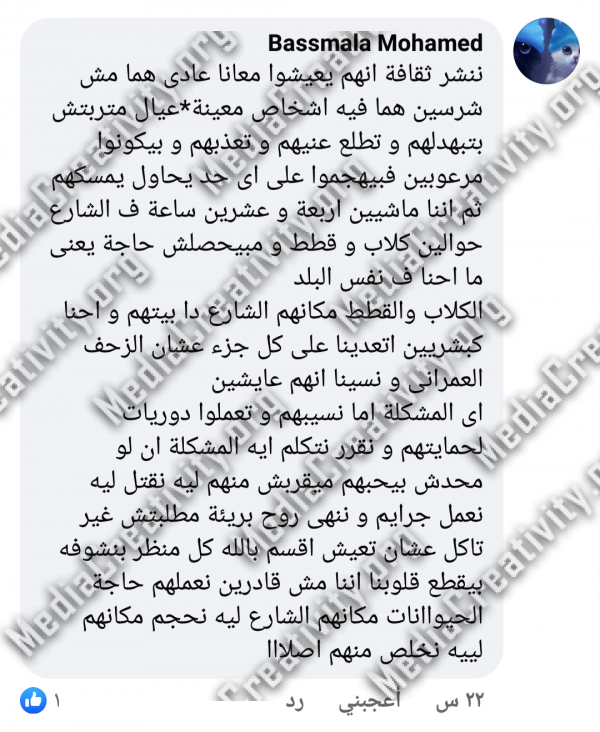 العنف ضد الحيوان فى بورسعيد