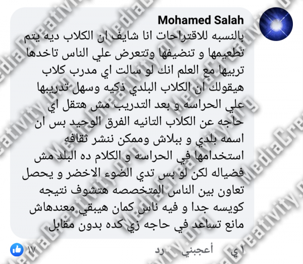 العنف ضد الحيوان فى بورسعيد