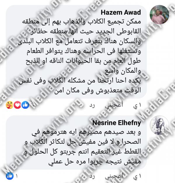 العنف ضد الحيوان فى بورفؤاد