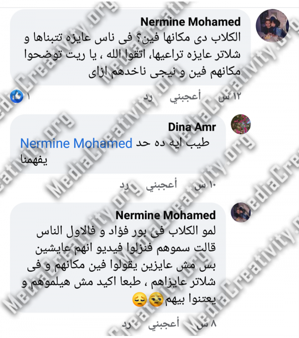 العنف ضد الحيوان فى بورسعيد
