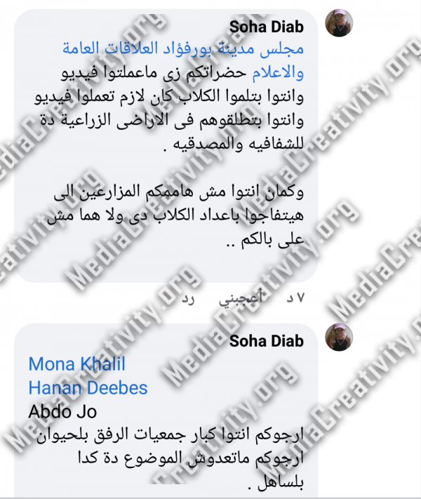 الرفق بالحيوان