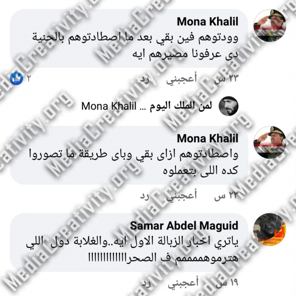 ازمة فى بورفؤاد بعد اصطياد الكلاب البلدي