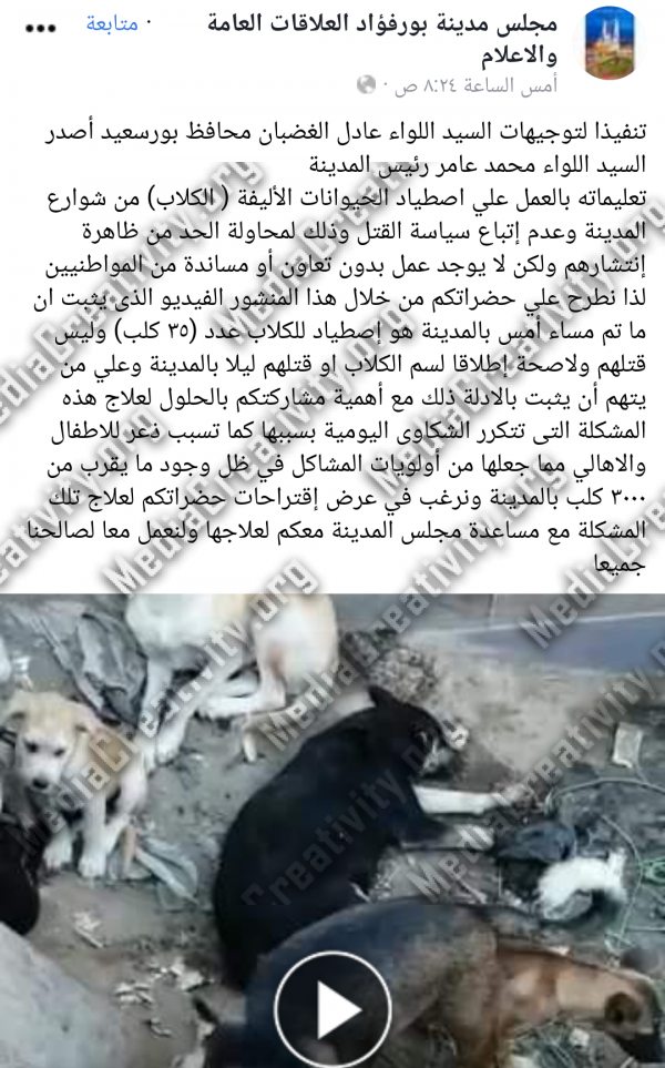 بورسعيد