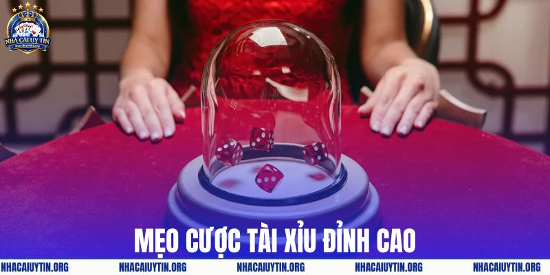 Bỏ túi mẹo cược đỉnh cao